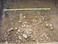 Cronica Cercetărilor Arheologice din România, Campania 2014. Raportul nr. 129