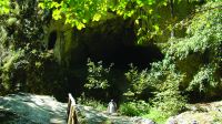 Cronica Cercetărilor Arheologice din România, Campania 2014. Raportul nr. 135
