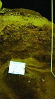 Cronica Cercetărilor Arheologice din România, Campania 2014. Raportul nr. 135