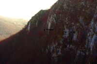 Cronica Cercetărilor Arheologice din România, Campania 2014. Raportul nr. 136