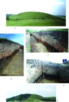 Cronica Cercetărilor Arheologice din România, Campania 2014. Raportul nr. 145