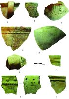 Cronica Cercetărilor Arheologice din România, Campania 2014. Raportul nr. 145