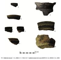 Cronica Cercetărilor Arheologice din România, Campania 2014. Raportul nr. 146