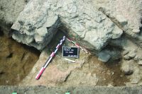 Cronica Cercetărilor Arheologice din România, Campania 2015. Raportul nr. 7