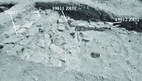 Cronica Cercetărilor Arheologice din România, Campania 2015. Raportul nr. 20.<br /> Sectorul Sector-ACS.