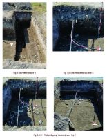 Cronica Cercetărilor Arheologice din România, Campania 2015. Raportul nr. 20.<br /> Sectorul Sector-sud.