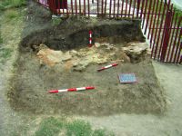 Cronica Cercetărilor Arheologice din România, Campania 2015. Raportul nr. 21