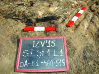 Cronica Cercetărilor Arheologice din România, Campania 2015. Raportul nr. 21