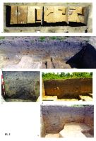 Cronica Cercetărilor Arheologice din România, Campania 2015. Raportul nr. 54