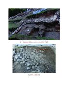 Cronica Cercetărilor Arheologice din România, Campania 2015. Raportul nr. 62