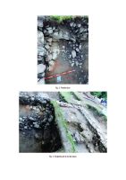 Cronica Cercetărilor Arheologice din România, Campania 2015. Raportul nr. 62