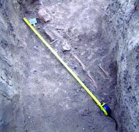 Cronica Cercetărilor Arheologice din România, Campania 2015. Raportul nr. 71