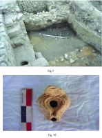 Cronica Cercetărilor Arheologice din România, Campania 2015. Raportul nr. 75