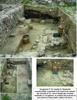 Cronica Cercetărilor Arheologice din România, Campania 2015. Raportul nr. 78