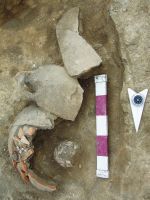 Cronica Cercetărilor Arheologice din România, Campania 2015. Raportul nr. 87