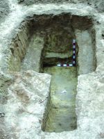 Cronica Cercetărilor Arheologice din România, Campania 2015. Raportul nr. 87