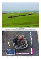 Cronica Cercetărilor Arheologice din România, Campania 2015. Raportul nr. 91