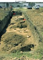 Cronica Cercetărilor Arheologice din România, Campania 2015. Raportul nr. 94