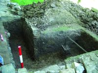 Cronica Cercetărilor Arheologice din România, Campania 2015. Raportul nr. 109