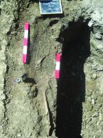 Cronica Cercetărilor Arheologice din România, Campania 2015. Raportul nr. 109