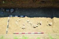 Cronica Cercetărilor Arheologice din România, Campania 2016. Raportul nr. 12