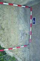 Cronica Cercetărilor Arheologice din România, Campania 2016. Raportul nr. 12