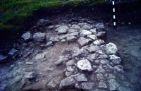 Cronica Cercetărilor Arheologice din România, Campania 2016. Raportul nr. 25