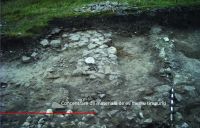 Cronica Cercetărilor Arheologice din România, Campania 2016. Raportul nr. 25