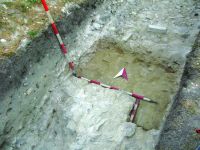 Cronica Cercetărilor Arheologice din România, Campania 2016. Raportul nr. 36.<br /> Sectorul Histria-Sector-Sud.