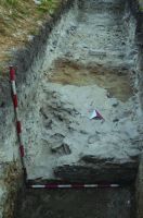 Cronica Cercetărilor Arheologice din România, Campania 2016. Raportul nr. 36.<br /> Sectorul Histria-Sector-Sud.