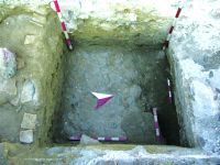 Cronica Cercetărilor Arheologice din România, Campania 2016. Raportul nr. 36.<br /> Sectorul Histria-Sector-Sud.