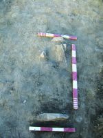 Cronica Cercetărilor Arheologice din România, Campania 2016. Raportul nr. 36.<br /> Sectorul Histria-Sector-Sud.