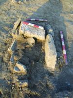 Cronica Cercetărilor Arheologice din România, Campania 2016. Raportul nr. 36.<br /> Sectorul Histria-Sector-Sud.