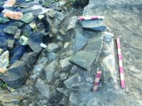 Cronica Cercetărilor Arheologice din România, Campania 2016. Raportul nr. 36.<br /> Sectorul Histria-Sector-Sud.