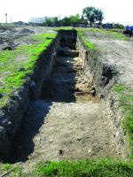 Cronica Cercetărilor Arheologice din România, Campania 2016. Raportul nr. 36.<br /> Sectorul Histria-Sector-Sud.