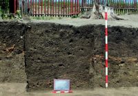 Cronica Cercetărilor Arheologice din România, Campania 2016. Raportul nr. 37