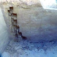Cronica Cercetărilor Arheologice din România, Campania 2016. Raportul nr. 49