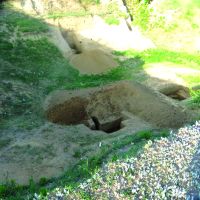 Cronica Cercetărilor Arheologice din România, Campania 2016. Raportul nr. 49