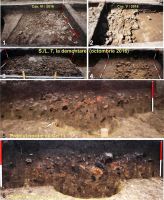 Cronica Cercetărilor Arheologice din România, Campania 2016. Raportul nr. 64