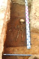 Cronica Cercetărilor Arheologice din România, Campania 2016. Raportul nr. 78