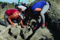 Cronica Cercetărilor Arheologice din România, Campania 2016. Raportul nr. 84