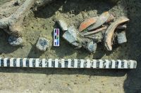 Cronica Cercetărilor Arheologice din România, Campania 2016. Raportul nr. 84