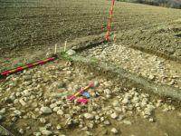 Cronica Cercetărilor Arheologice din România, Campania 2016. Raportul nr. 85