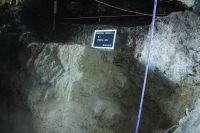Cronica Cercetărilor Arheologice din România, Campania 2016. Raportul nr. 87