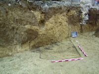 Cronica Cercetărilor Arheologice din România, Campania 2016. Raportul nr. 101