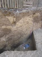 Cronica Cercetărilor Arheologice din România, Campania 2016. Raportul nr. 101