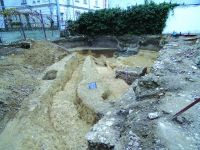 Cronica Cercetărilor Arheologice din România, Campania 2016. Raportul nr. 101