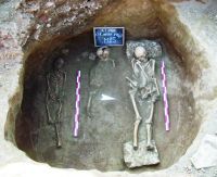 Cronica Cercetărilor Arheologice din România, Campania 2016. Raportul nr. 101