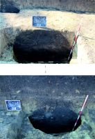 Cronica Cercetărilor Arheologice din România, Campania 2016. Raportul nr. 109.<br /> Sectorul 1-Planse.