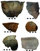 Cronica Cercetărilor Arheologice din România, Campania 2016. Raportul nr. 109.<br /> Sectorul 1-Planse.